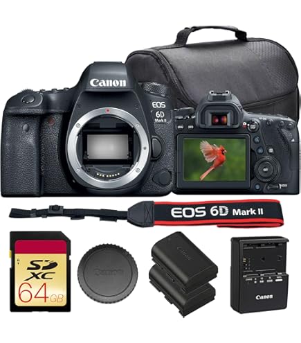 Amazon.com : Canon EOS 6D EF24-105mm is STM Kit Black : Electronics